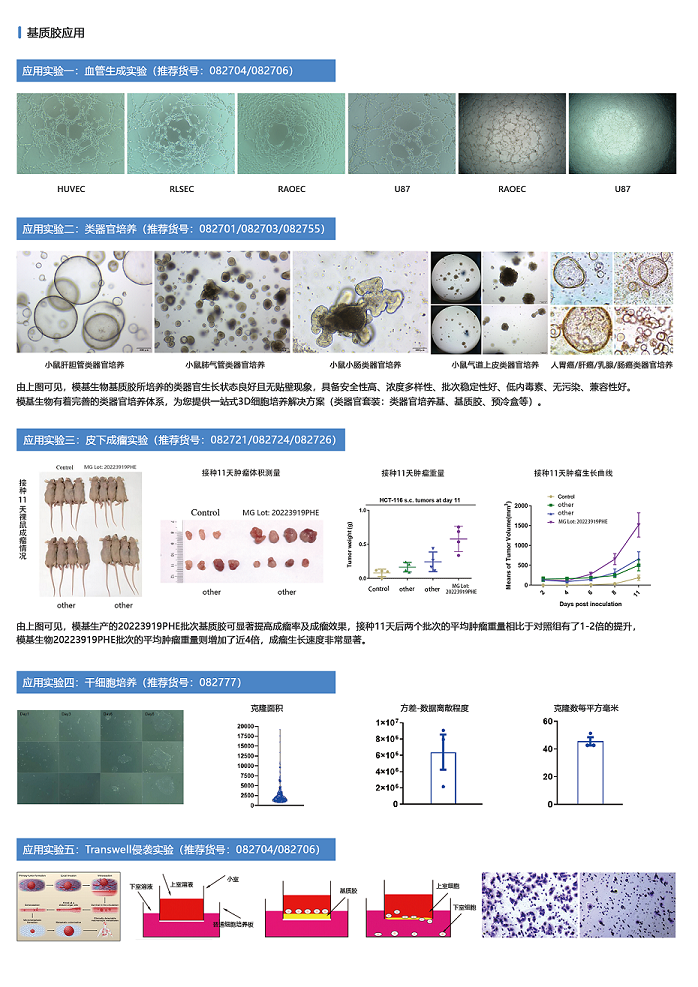 基質膠產(chǎn)品宣傳單頁-背面 - 副本.png
